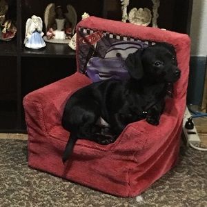 Meet your Posher, Diane